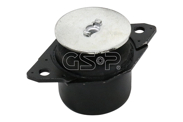 510094 GSP