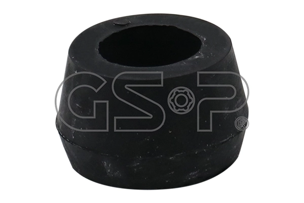 513063 GSP