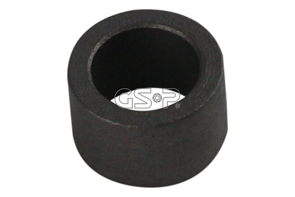 516876 GSP