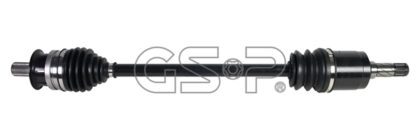 218404 GSP