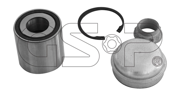 FC40887 SNR Rodamiento de rueda trasero