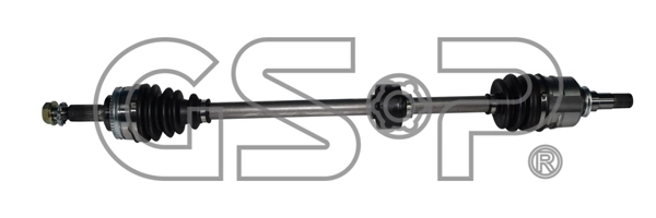 259271 GSP