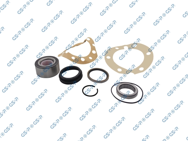 GKX0065 GSP