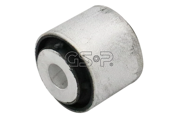 510513 GSP
