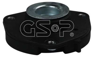 532544 GSP