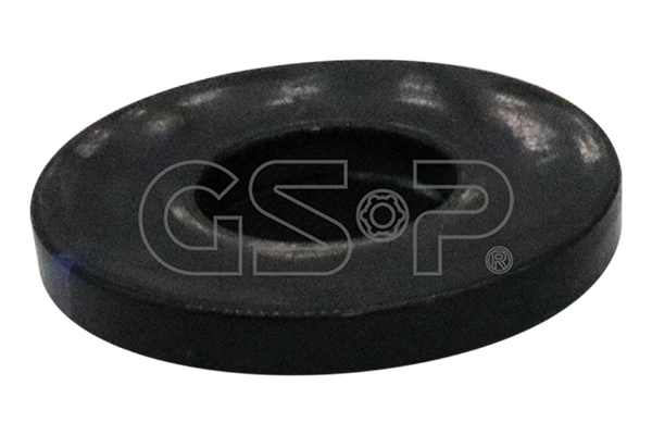 518991 GSP