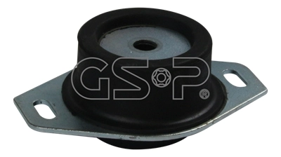 513398 GSP