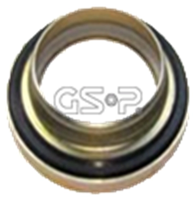 510769 GSP