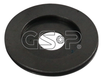 530823 GSP