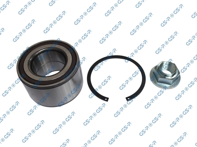 GKX0064 GSP