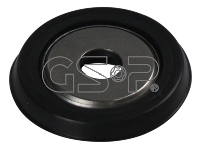 518997 GSP