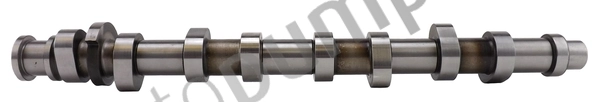 Comprar Árbol de levas Seat Exeo  3R5 a bajo precio