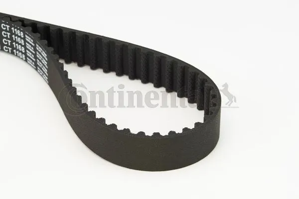 Comprar Correa de distribución Volkswagen Tiguan BW2, BJ2 a bajo precio