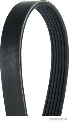 9207919 Volvo Correa poly v