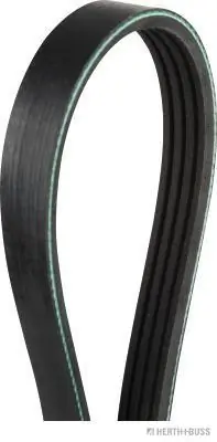 Correa de transmisión trapezoidal Renault LOGAN II sedán (L52) (2012 - 2026) precio, desde 10,18 EUR
