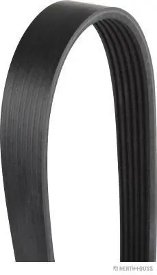 Correa de alternador 132162674 Freightliner