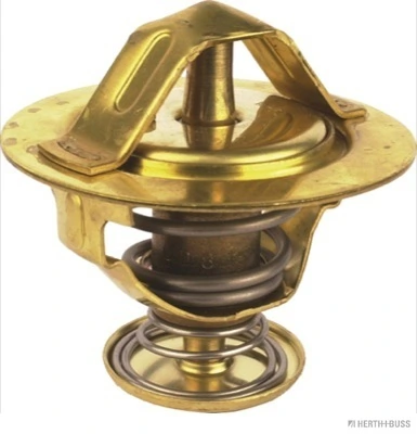 Comprar 94214962 General Motors Termostato