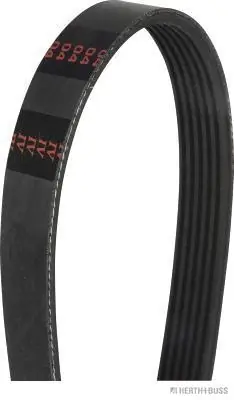 Correa accesorios Peugeot/Citroen 55569810