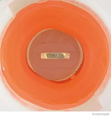 Indicador, presión del aceite Renault Scenic 1 JA0, JA1, FA0