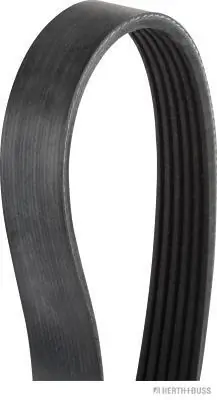 Correa de alternador 12653318 General Motors
