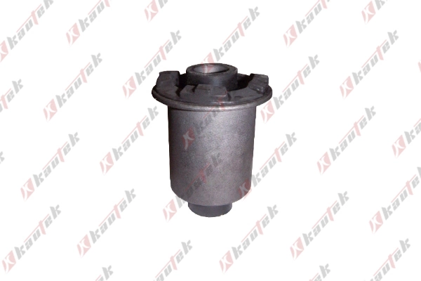 DHBS005 Kautek