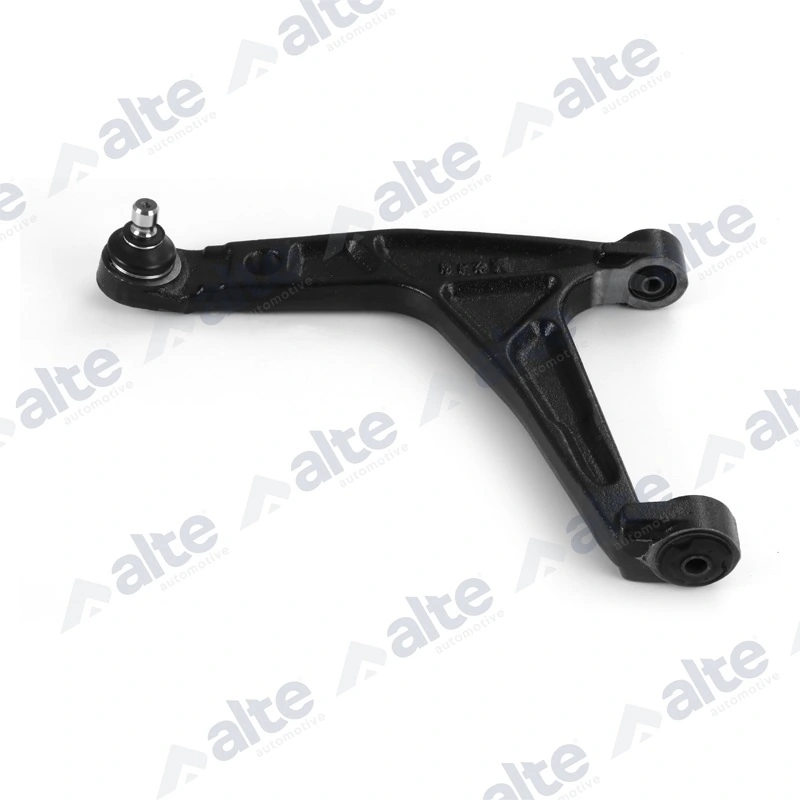 79876AL Alte