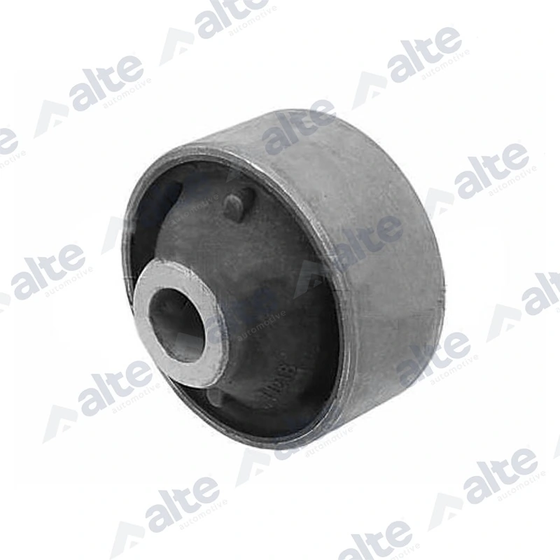 88561AL Alte