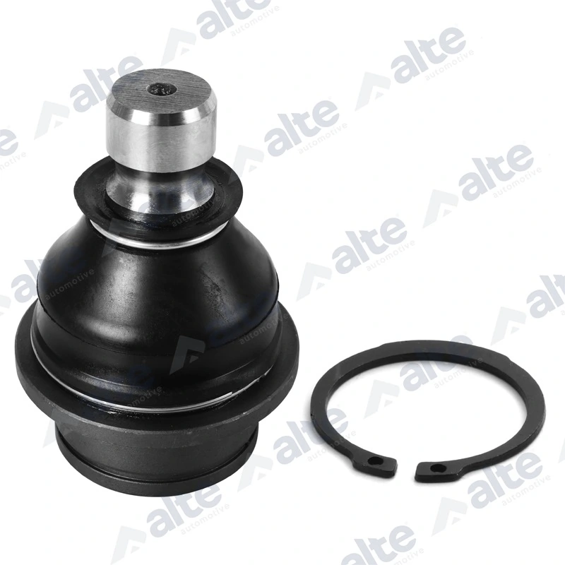 83906AL Alte