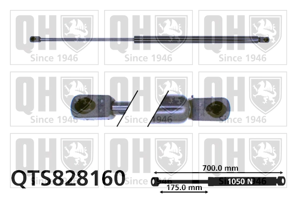 Muelle neumatico maletero para Peugeot Expert  (VF)