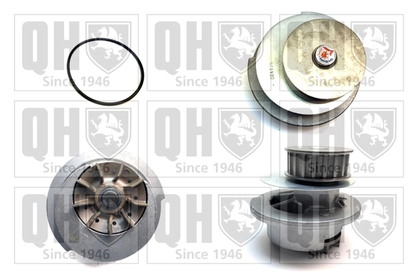 Bombeadora de agua General Motors 1334024 precio, desde 29,93 EUR