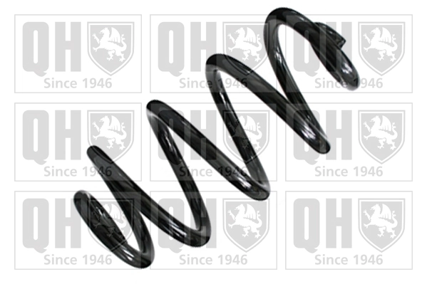  Muelle Nissan Qashqai 