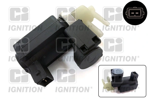 XELV118 QUINTON HAZELL