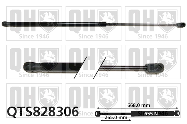 Muelle neumatico maletero Peugeot/Citroen 1679434580