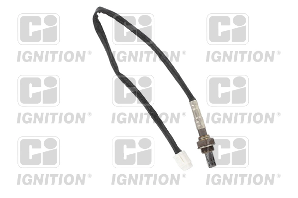 XLOS1680 QUINTON HAZELL