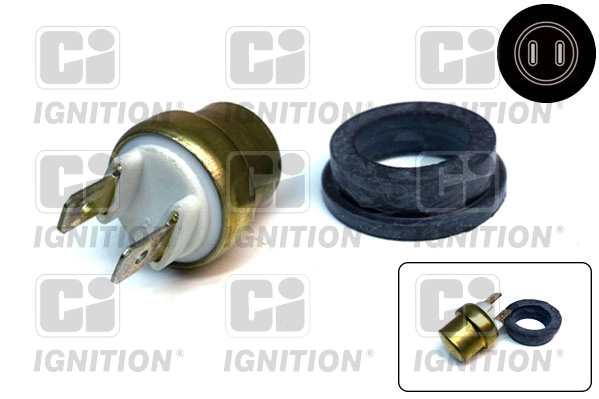 Sensor de temperatura para Rover 25 RF