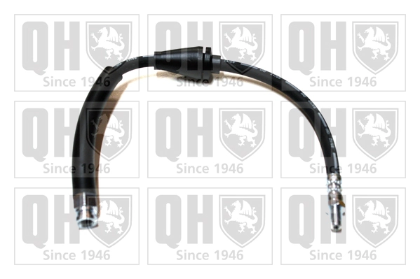 Comprar Tubo flexible de frenos delantero Panda II 169A