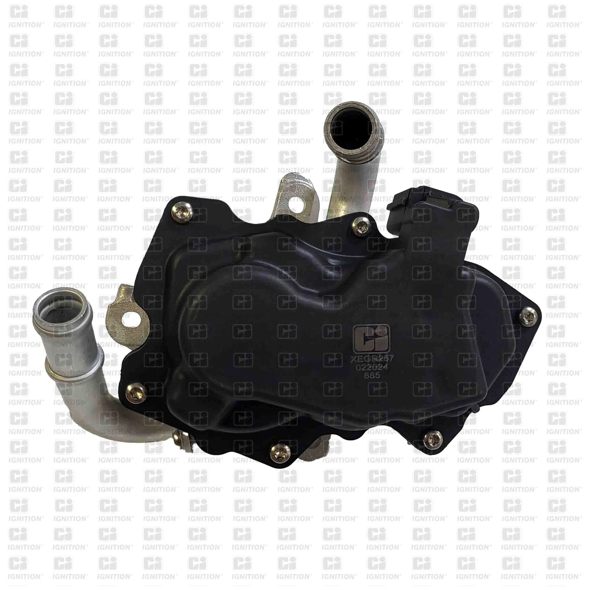 EGR Seat Ibiza V
