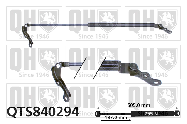 Amortiguador de maletero Montcada RTO031 precio, desde 12,75 EUR
