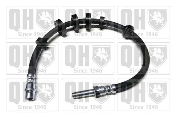 Latiguillos de freno delantero 1650856080 Peugeot/Citroen