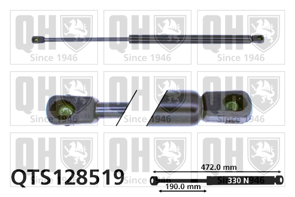 Comprar Amortiguador maletero Fiat Punto II 188AX