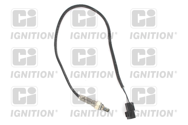 XLOS1440 QUINTON HAZELL