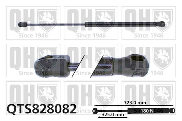 Comprar Amortiguador de capó Opel Insignia A G09