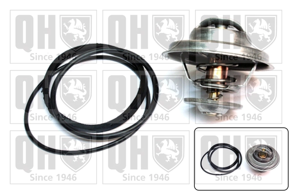 Comprar Termostato Renault 18  134