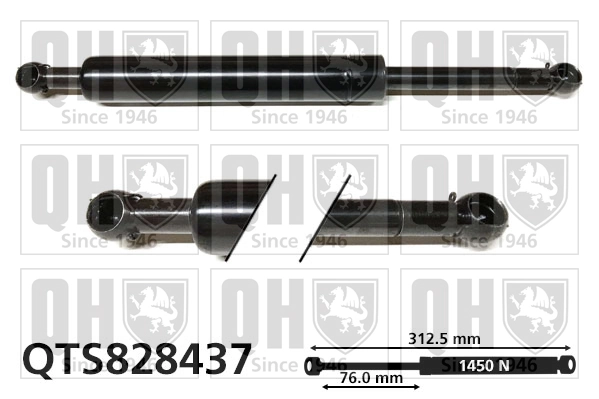 Muelle neumatico maletero para Mercedes R  (W251)