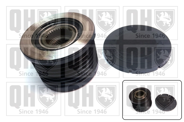 Polea de alternador para Renault DOKKER  (FE)