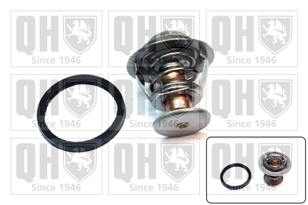 Termostato 212006F900 Nissan/Infiniti