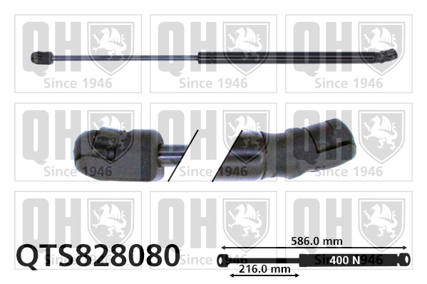 13258179 Peugeot/Citroen Amortiguador de porton