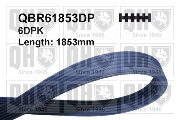 Comprar 9A110221601 VAG Correa trapezoidal