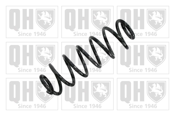 Comprar Muelle Skoda Octavia II A5 1Z5