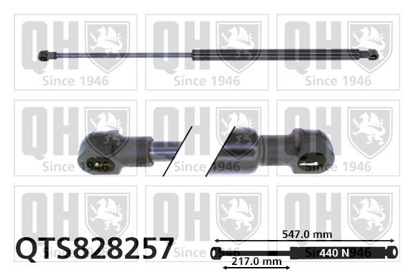 Amortiguador de porton para Citroen C3 Picasso SH